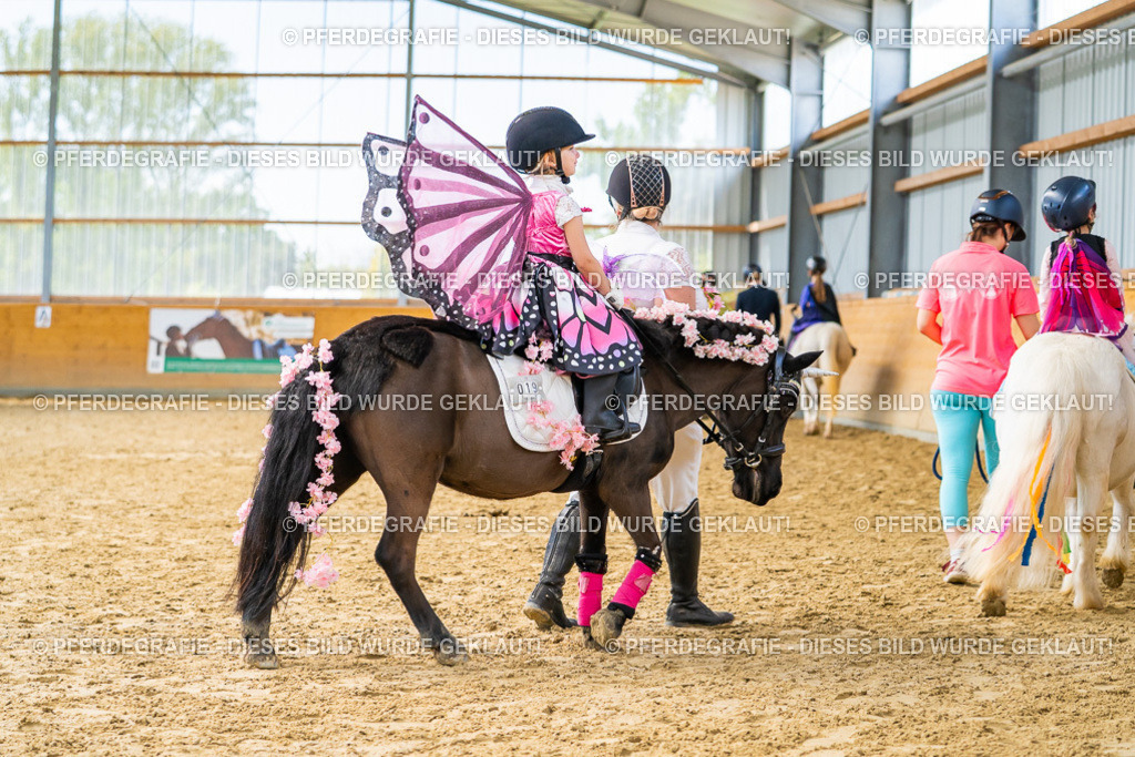 DSC09882 | Pferdegrafie