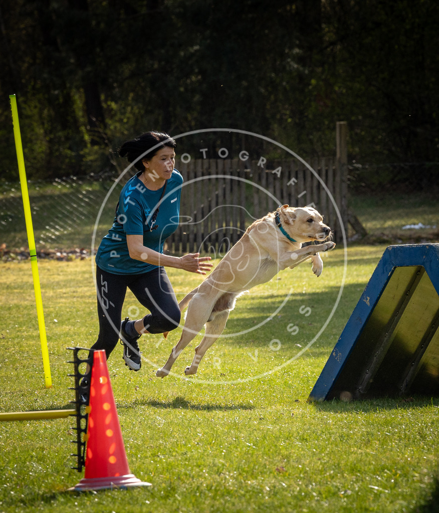 Pfotenfotografie_DV3A2881 | Hundefotografie, Tierfotograf, Pfotenfotografie, Fotoshooting Hund, Hunde Portrait, Hundesport, Hundeportraits, Heideshooting, Hunde, Sportfotograf, Hundefotograf, Turnierhundsport, THS,  - Realisiert mit Pictrs.com