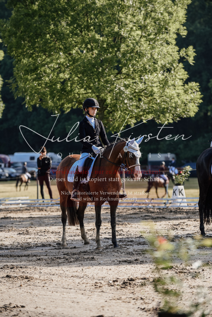 DSC_7783 | Pferde- und Turnierfotografie in Westsachsen. Pferdeportraits, Auftragszeichnungen und intuitive Kunst.