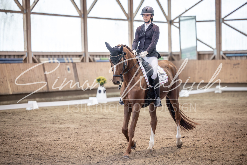20251011-_3LI1862 | Tierfotografie Pferde, Hunde, Katzen, Haustiere.
Turnierfotografie Reitturniere, Reiten, Springreiten, Dressur in Hanau, dem Main-Kinzig-Kreis und dem Rhein-Main- Gebiet um Frankfurt