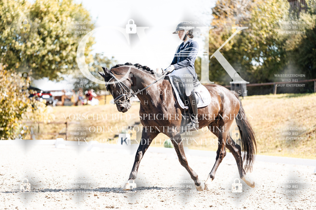 CK903474 | Turnierfotografie Pferdefotografie Trier Rheinland-Pfalz Pferdesport Reitsport Tierfotografie Sportfotografie Pferdevideo Pferdevideografie Equestrianvideography equestrianphotography  - Realisiert mit Pictrs.com