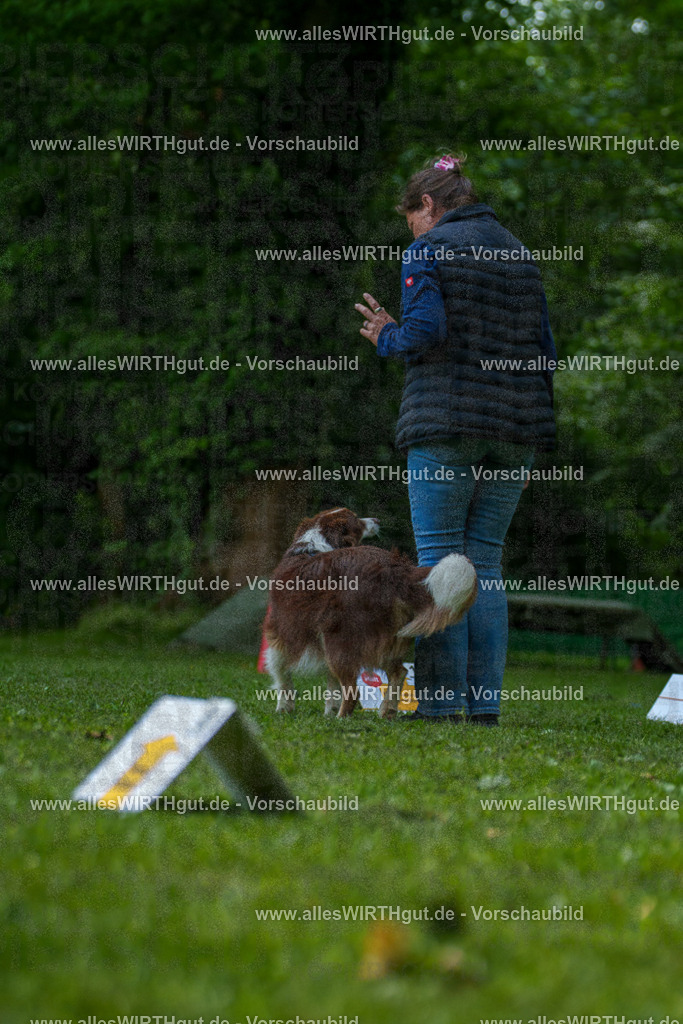 @allesWIRTHgut_Tierfotografie - www.allesWIRTHgut.de - 7R505452 | Professionelle Tierfotografie in Mönchengladbach von Daniel Wirth (allesWIRTHgut). Liebevolle & natürliche Bilder von Hunden & Katzen für unvergessliche Erinnerungen.