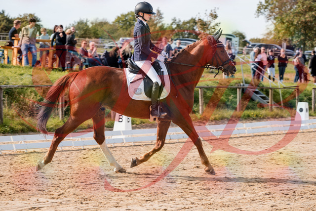 2026_10_03_Siefer-Hof_123416_Z63_52707470 | Professionelle Reitsport-, Turnier- und Eventfotografie von Robert Broda. Galerien mit ausgewählten und bearbeiteten Bildern direkt online ansehen und bestellen.