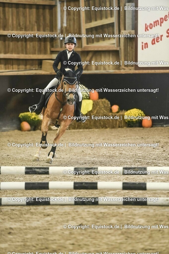 20231029_07_Stilspring-WB-50cm_0065 | Foto: Thomas Hartig