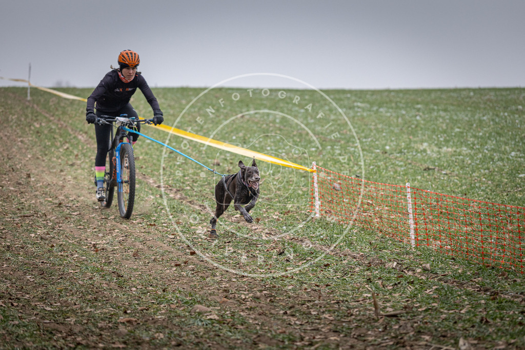 Pfotenfotografie_DV3A1037 | Hundefotografie, Tierfotograf, Pfotenfotografie, Fotoshooting Hund, Hunde Portrait, Hundesport, Hundeportraits, Heideshooting, Hunde, Sportfotograf, Hundefotograf, Turnierhundsport, THS,  - Realisiert mit Pictrs.com