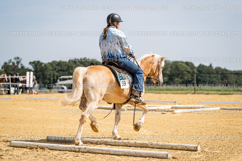 DSC09793 | Pferdegrafie