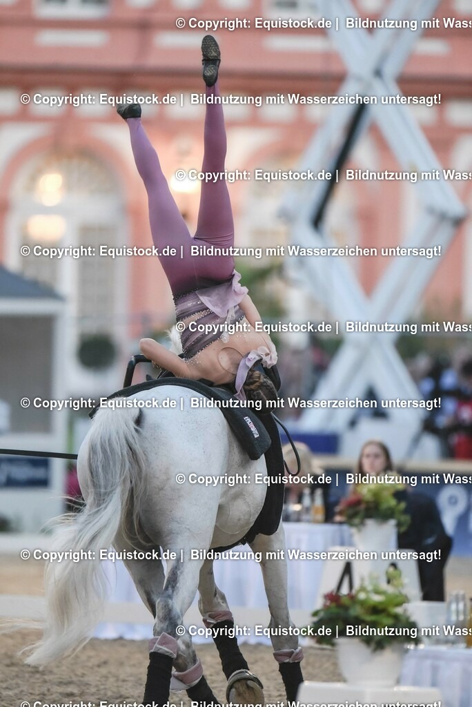 20230527_Voltigieren_NASPA_Flutlicht_0334 | equistock