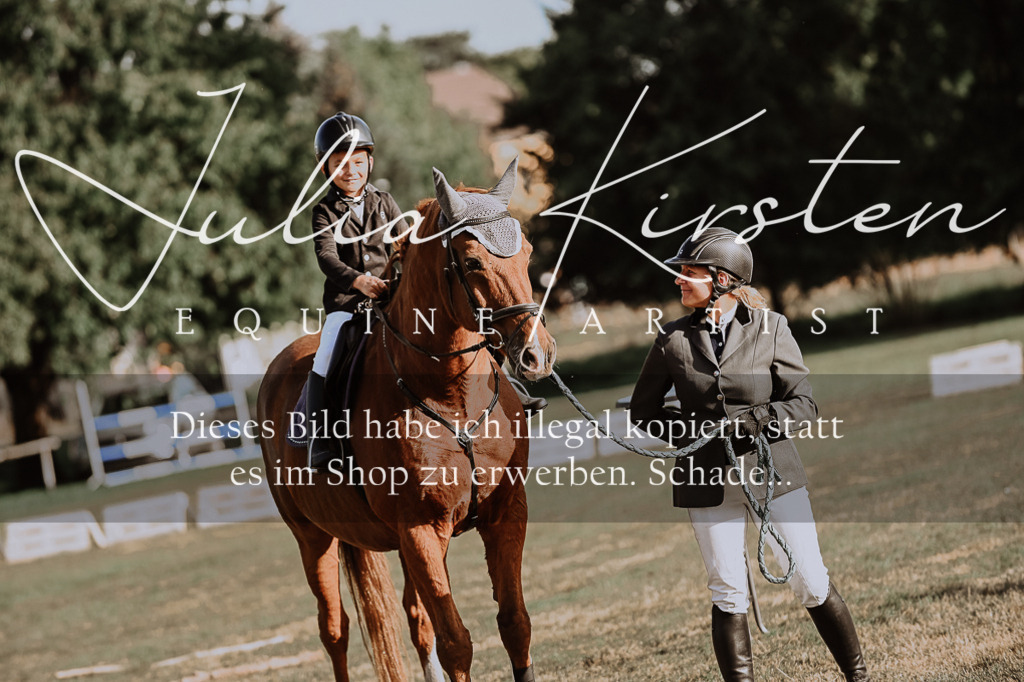 DSC_0092 | Pferde- und Turnierfotografie in Westsachsen. Pferdeportraits, Auftragszeichnungen und intuitive Kunst.