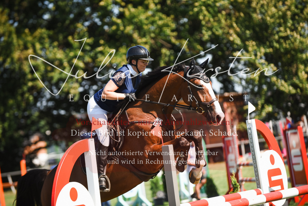 DSC_2795 | Pferde- und Turnierfotografie in Westsachsen. Pferdeportraits, Auftragszeichnungen und intuitive Kunst.