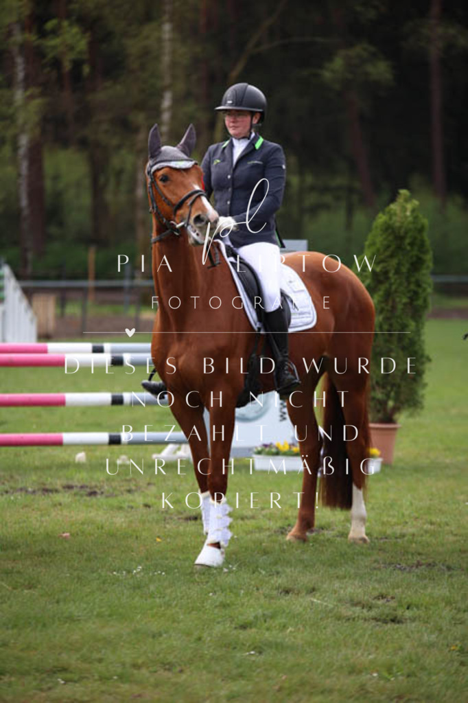 IMGT3446 | pl-fotografie