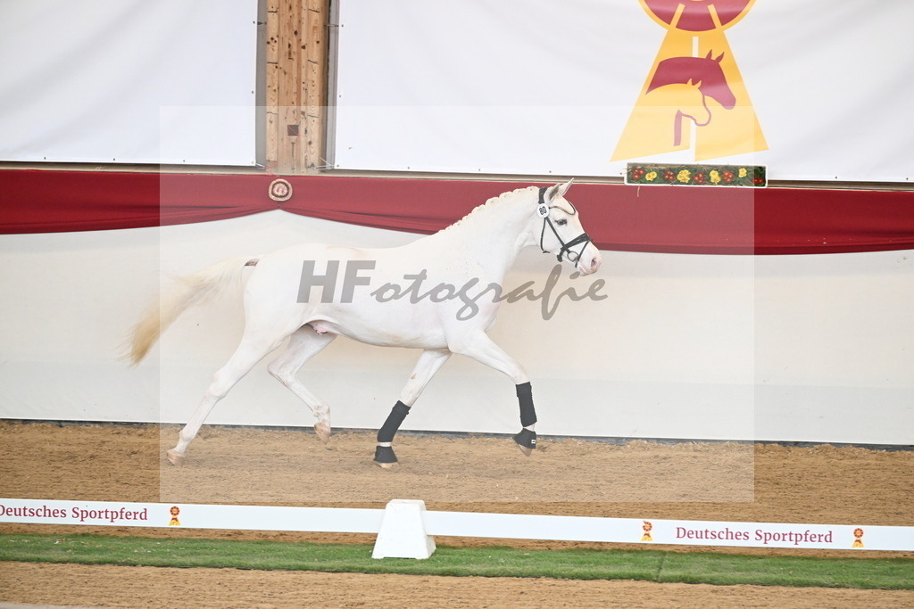 Kat.-Nr. 80 v. Topas_Sahlmann-Schmitz_2250706 | hf-fotografie - Realisiert mit Pictrs.com
