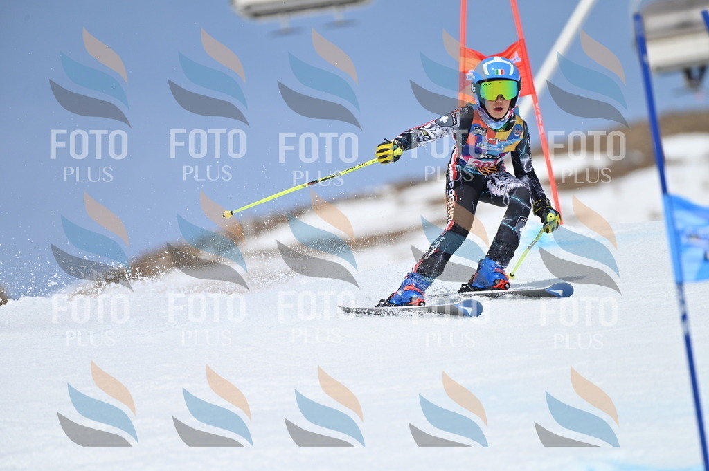 BGV_2794 | holidayphoto