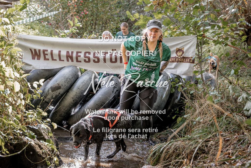 nelerasche_Hunsrück2026_Sa1400-1500_420 | nelerasche