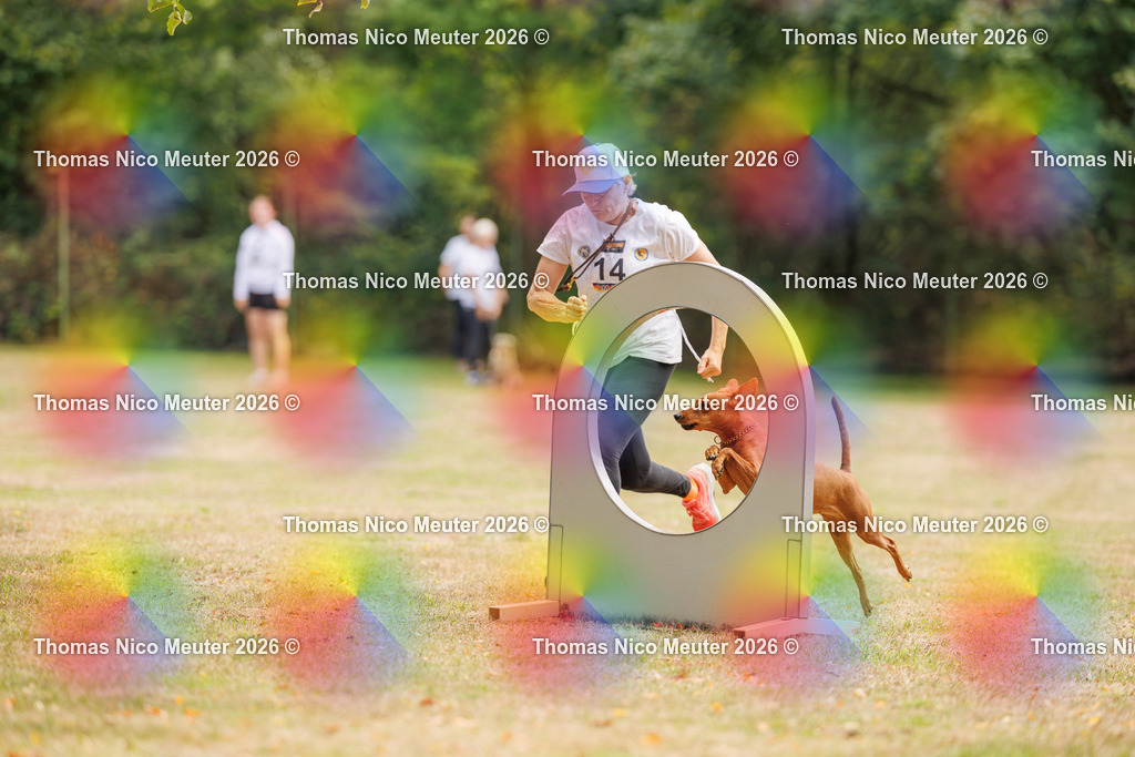 Thomas_Nico_Meuter(C)_22. August 2026_223A4637 | Bild von Thomas Nico Meuter - Realisiert mit Pictrs.com