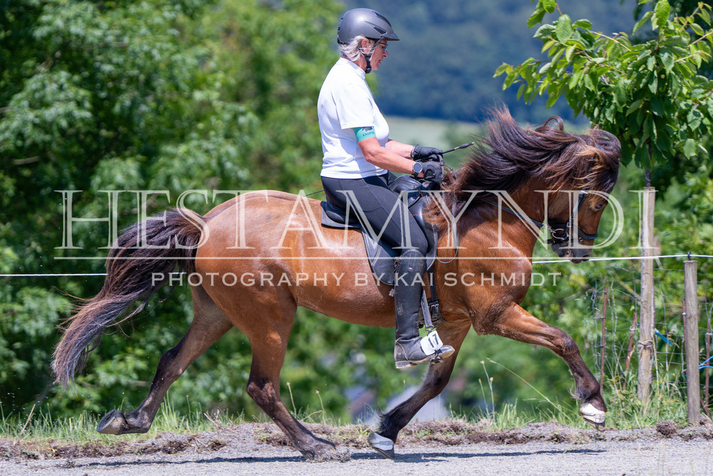 KAI04257 | Ihr sucht einen Fotografen für eure nächste OSI? Ich begleite auch euer Turnier für Islandpferde fotografisch.  - Realisiert mit Pictrs.com