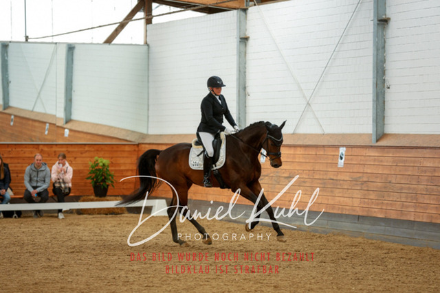 _62_7617 | Turniersportfotografie; Pferdefotografie; Dressurfotografie