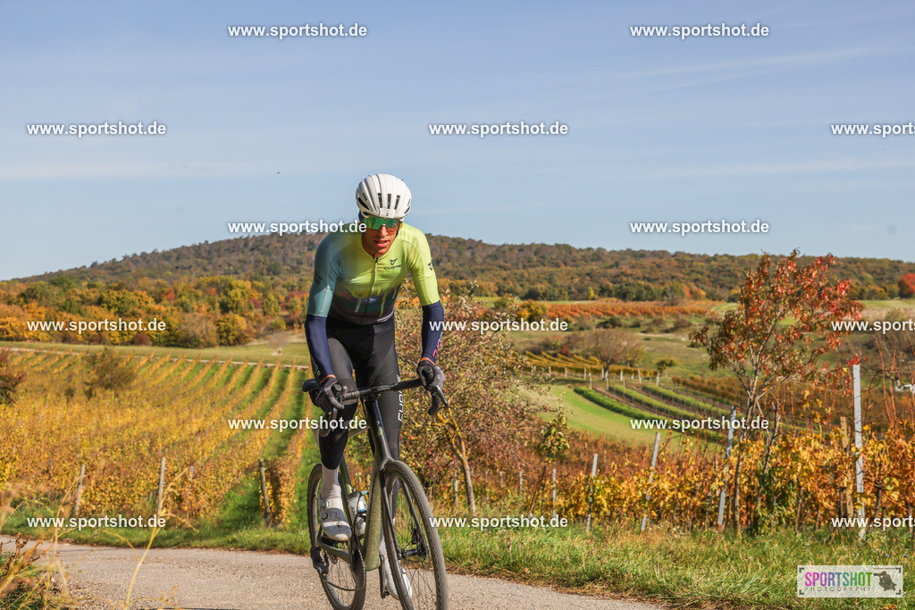 007A6097 | PANNONIA GRAVEL 2025 #pannoniagravel #gravel #offroad #onroad #burgenland #neusiedlersee #nrm #neusiedlerseeradmarathon #yourpictrs #sportshot_your_pictrs @Sportshot Photography www.sportshot.de