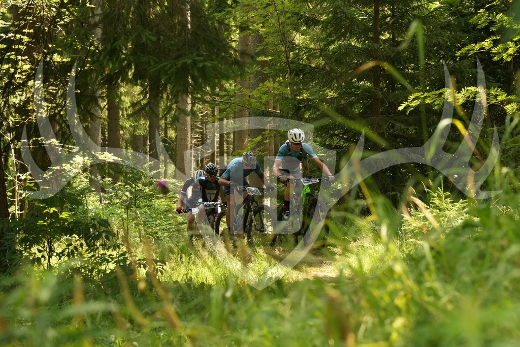 DSC08200 | Fotogalerie der Treibjagd im Dunkelwald - Dein MTB Etappenrennen im Erzgebirge - Realisiert mit Pictrs.com