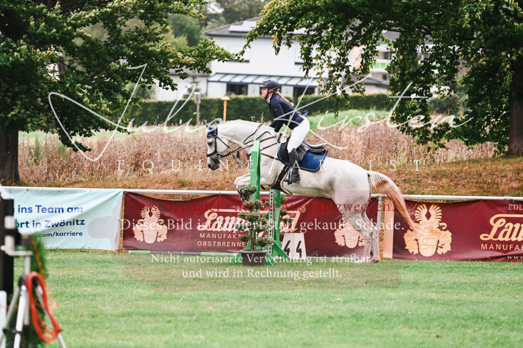 DSC_6019 | Pferde- und Turnierfotografie in Westsachsen. Pferdeportraits, Auftragszeichnungen und intuitive Kunst.