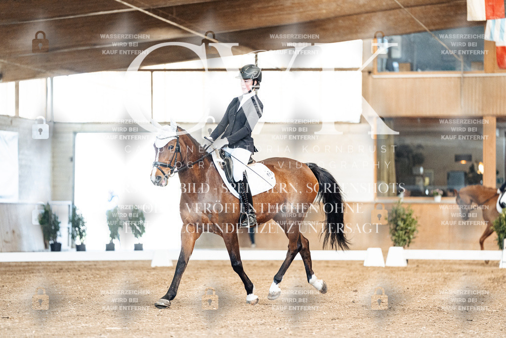 CK900660 | Turnierfotografie Pferdefotografie Trier Rheinland-Pfalz Pferdesport Reitsport Tierfotografie Sportfotografie Pferdevideo Pferdevideografie Equestrianvideography equestrianphotography  - Realisiert mit Pictrs.com