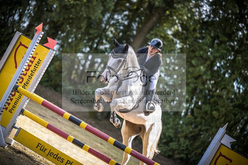 DOS_0536 | Entdecke hochwertige Reitturnierfotos von Foto Oger. Professionell, emotional und authentisch – jetzt Lieblingsmomente im Shop bestellen.Deutschlandweite Turnierfotografie. - Realisiert mit Pictrs.com
