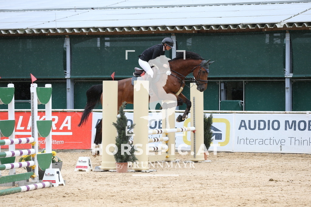 DL2Q5689 | Willkommen bei Brunnmayr - Design & Fotografie – Ihrem Spezialisten für Reitturniere und Pferdeveranstaltungen in Oberösterreich, Salzburg und Bayern! Seit über 17 Jahren sind wir leidenschaftlich dabei.