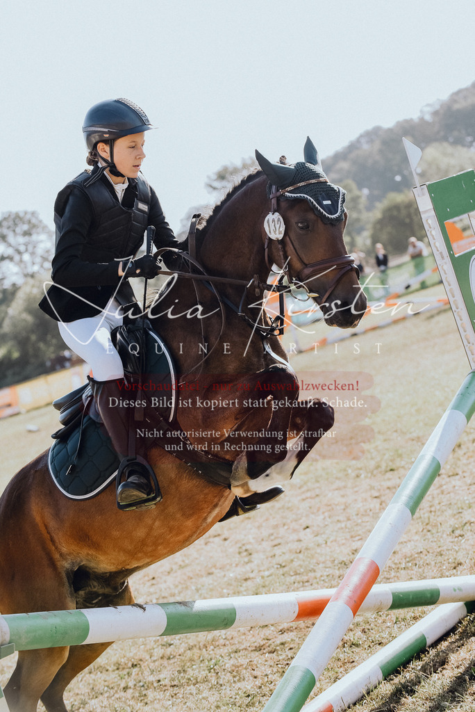 DSC_5548 | Pferde- und Turnierfotografie in Westsachsen. Pferdeportraits, Auftragszeichnungen und intuitive Kunst.