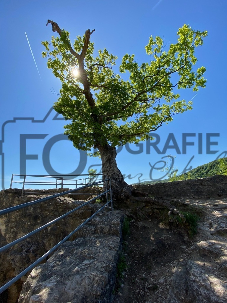 IMG_9125 | Fotobox, Portraitfotografie, Hochzeitsfotografie, Bewerbungsfoto - Realisiert mit Pictrs.com