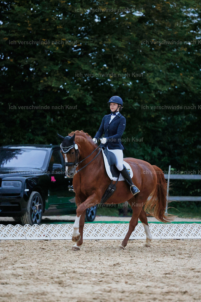 04_2-177-Dressur M__ -StoibPH-3031 | working equitationturnier fotograf videograf stoibphotography marixx film working equitation deutschland reitsport turnierfotografie eventfotografie equestrian events