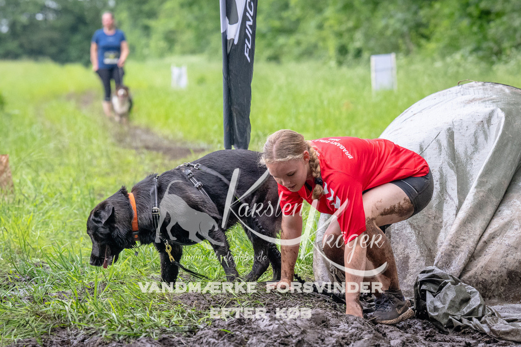 1630_ZZ94407 | kk-dogfotos