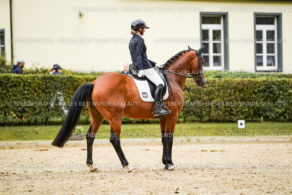 DSC07271 | Pferdegrafie