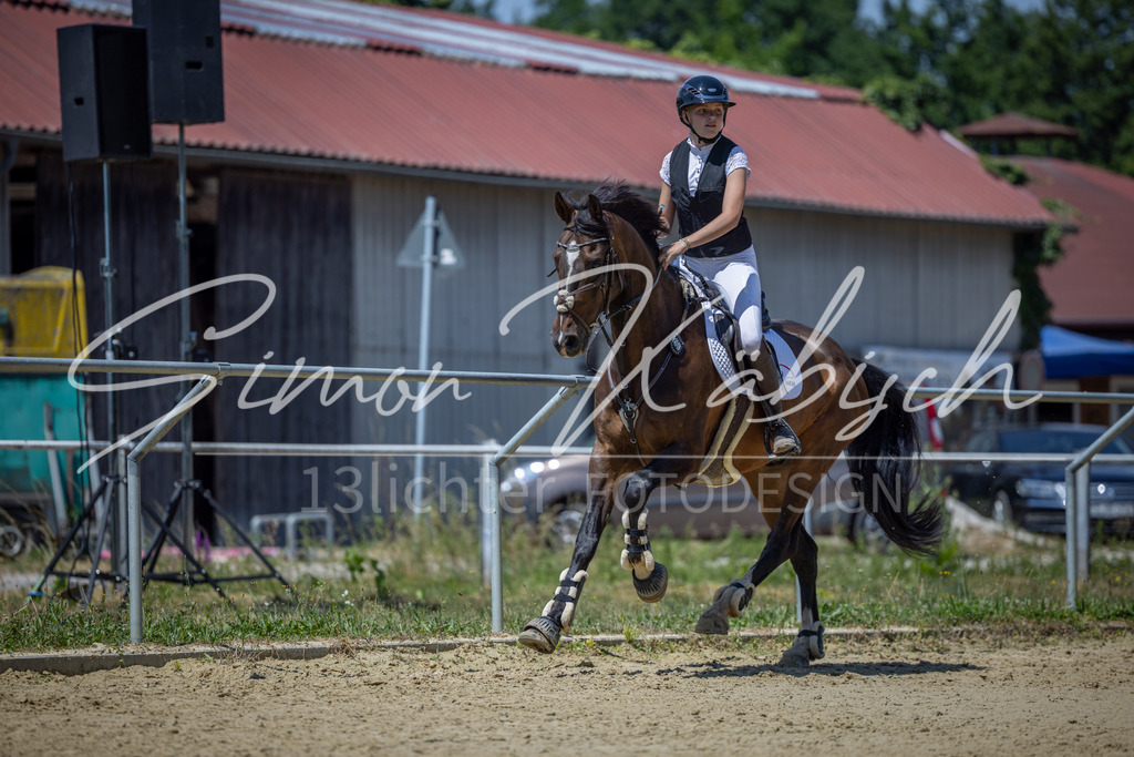 20260704-_3LI8515 | Tierfotografie Pferde, Hunde, Katzen, Haustiere.
Turnierfotografie Reitturniere, Reiten, Springreiten, Dressur in Hanau, dem Main-Kinzig-Kreis und dem Rhein-Main- Gebiet um Frankfurt