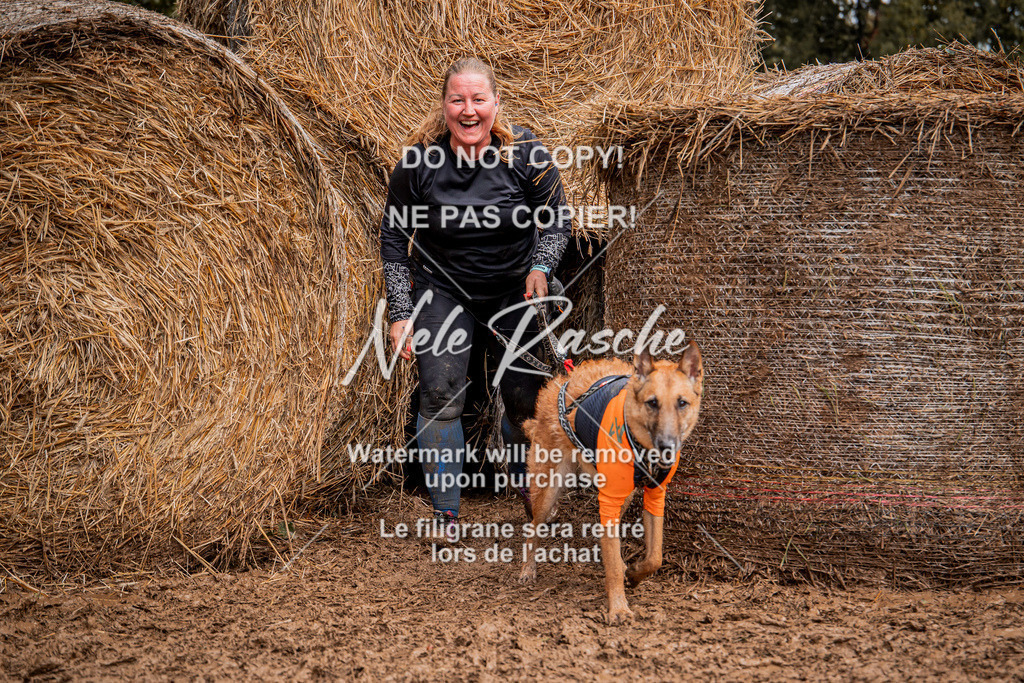 nelerasche_Hunsrück_So09-11_348 | nelerasche