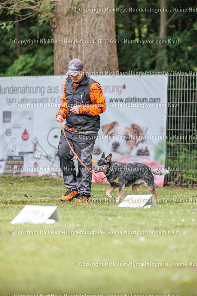 RO-Blumenthal-2026-Nickbest-Hundefotografie-1103 | Dein Hund! Dein Moment! Deine Erinnerungen! Hundefotografie in Bremen Blumenthal. Ich fange die besonderen Momente deines Vierbeiners ein – ob Indoor mit Blitzanlage oder in der freien Natur. Sicher dir dein Moment und dein Termin für eure Erinnerungen.