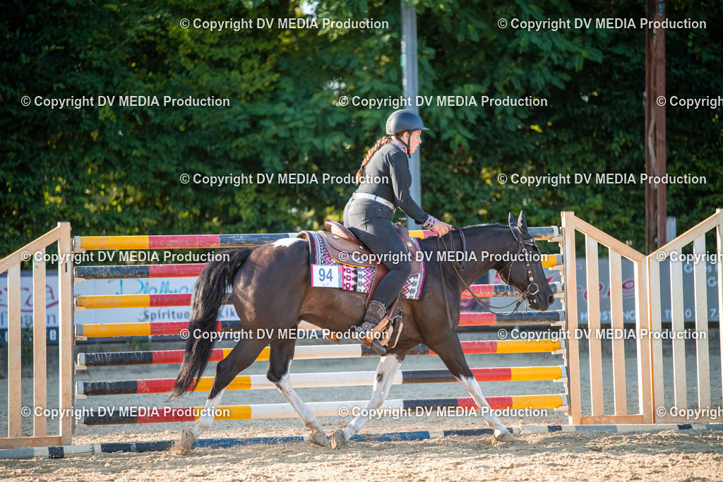 EWP_7255 | dv-media-shop - Realisiert mit Pictrs.com