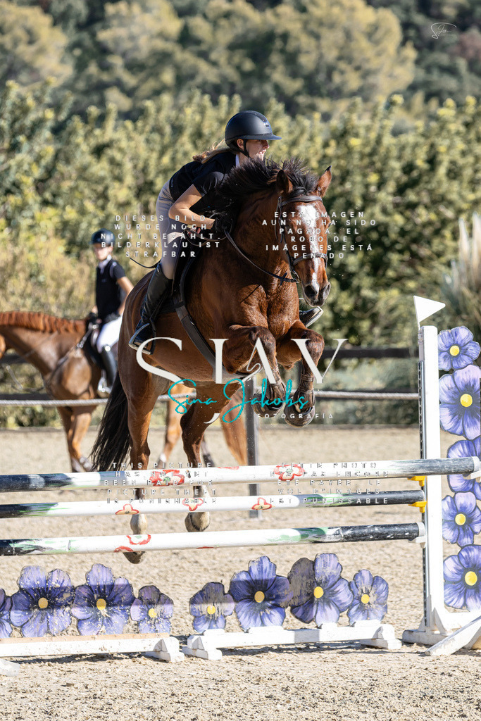 IMG_0756 | s-jay-photography - Realisiert mit Pictrs.com