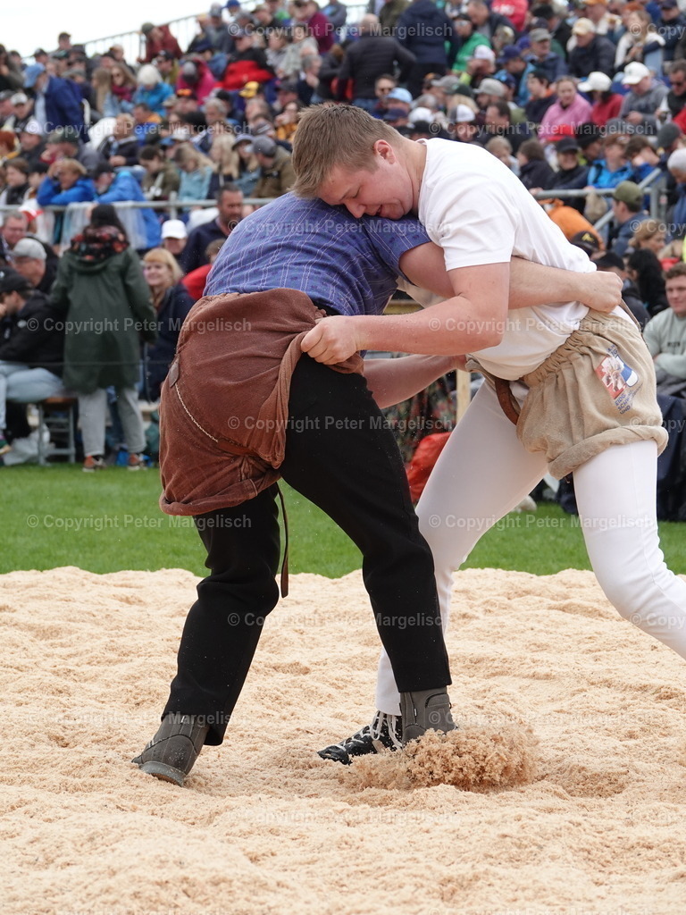 DSC06374 | Schwingen - Realisiert mit Pictrs.com