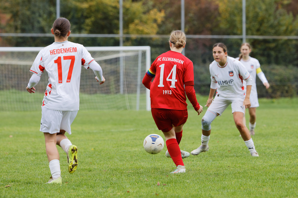 FCEFCH_251012_4010 | Fotopresso – Sportfotografie in Heidenheim & Umgebung. Professionelle Sportfotografie für unvergessliche Momente. Dynamische Action-Shots, emotionale Szenen & hochwertige Bilder. - Realisiert mit Pictrs.com