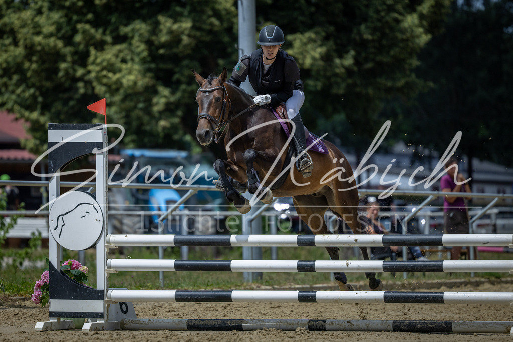 20260704-_3LI8949 | Tierfotografie Pferde, Hunde, Katzen, Haustiere.
Turnierfotografie Reitturniere, Reiten, Springreiten, Dressur in Hanau, dem Main-Kinzig-Kreis und dem Rhein-Main- Gebiet um Frankfurt