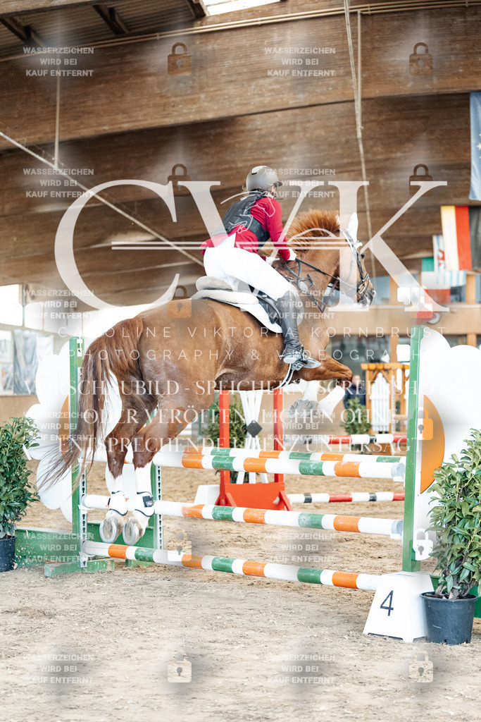 CK904977 | Turnierfotografie Pferdefotografie Trier Rheinland-Pfalz Pferdesport Reitsport Tierfotografie Sportfotografie Pferdevideo Pferdevideografie Equestrianvideography equestrianphotography  - Realisiert mit Pictrs.com