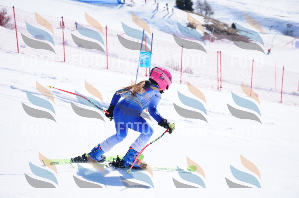 DSC_3990 | holidayphoto