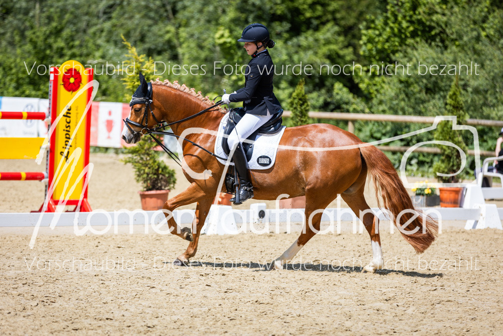 Donop24-RWB-016 | MomenTaufnahmen Pferdesportfotos