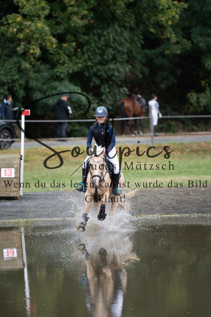 A7V00321 | Pferdefotograf