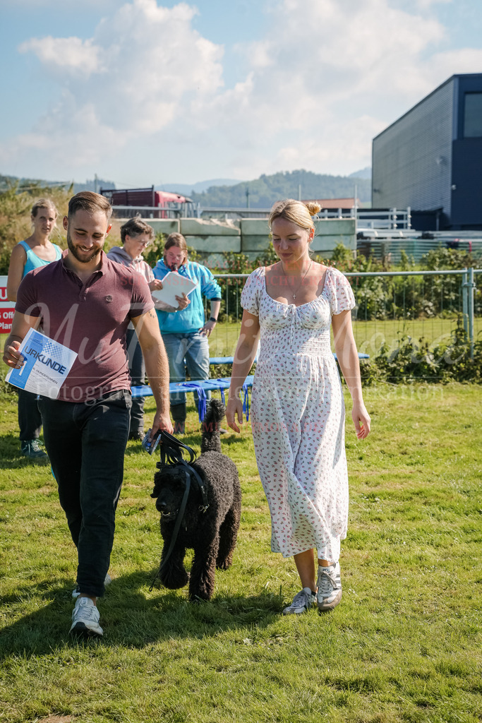 20250928_Hunderennen-762 | MuT (Mensch und Tier) mit Mona - Fotografie und Tierkommunikation - Realisiert mit Pictrs.com