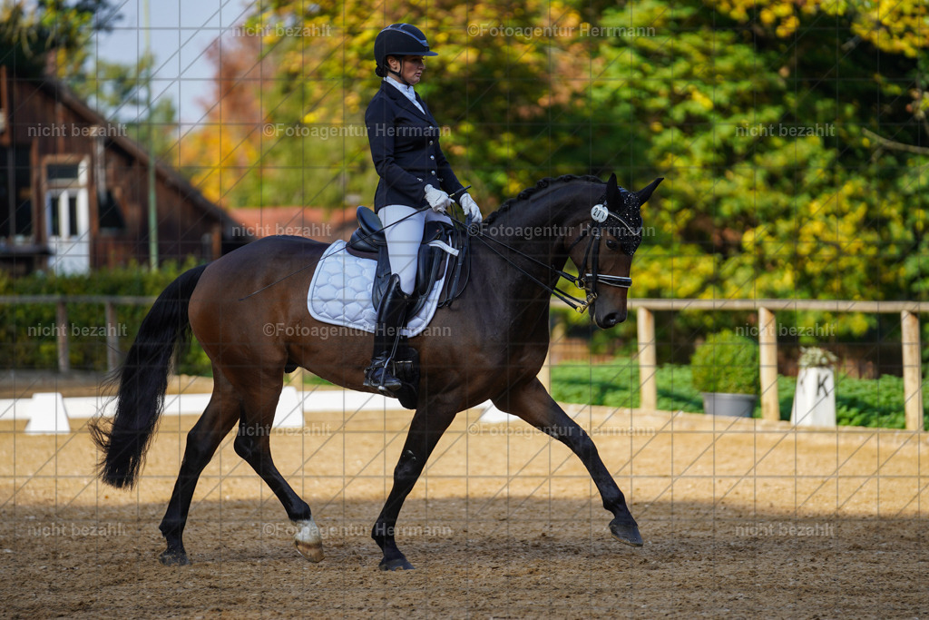 20221007-FAH00090 | Diessen am Ammersee, 2022, Dressur- und Springturnier, Reitsportbilder, Turnierfotografen Bayern, Pferdefotografen, Fotoagentur Herrmann, Turnierbilder