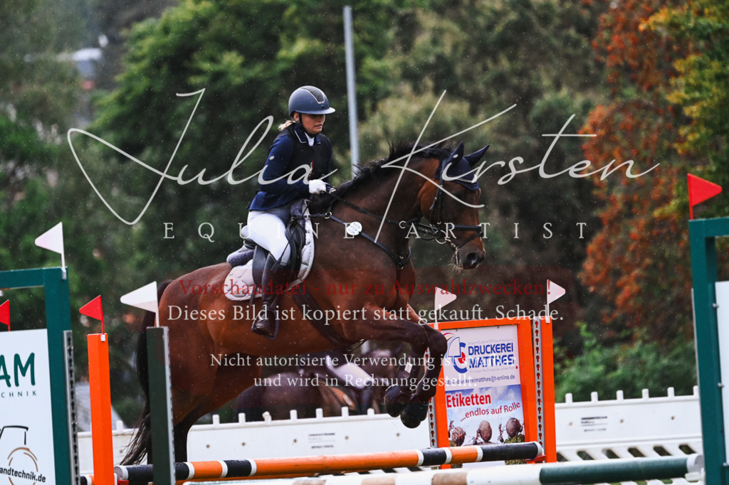 DSC_6398 | Pferde- und Turnierfotografie in Westsachsen. Pferdeportraits, Auftragszeichnungen und intuitive Kunst.
