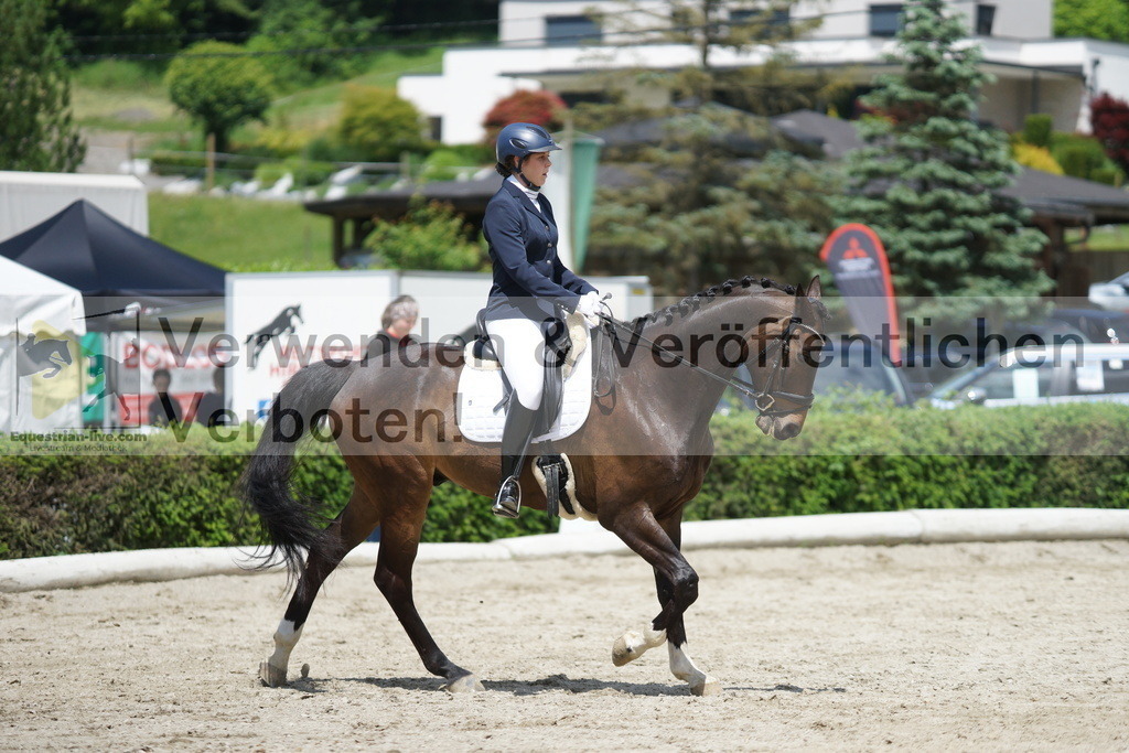 DSC05120 | equestrian-live-com