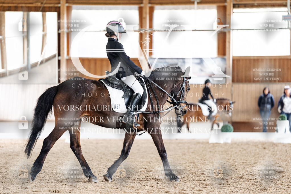 CK901340 | Turnierfotografie Pferdefotografie Trier Rheinland-Pfalz Pferdesport Reitsport Tierfotografie Sportfotografie Pferdevideo Pferdevideografie Equestrianvideography equestrianphotography  - Realisiert mit Pictrs.com