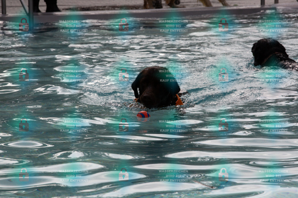 _HP_7576_1000o | HetPix, HetPix Fotodesign, Fotografie, Fotodesign, Webshop, Sportfotografie, Portraitfotografie, Onlineshop, Sportfotografie, Polch, Motorsportfotografie, Eventfotografie