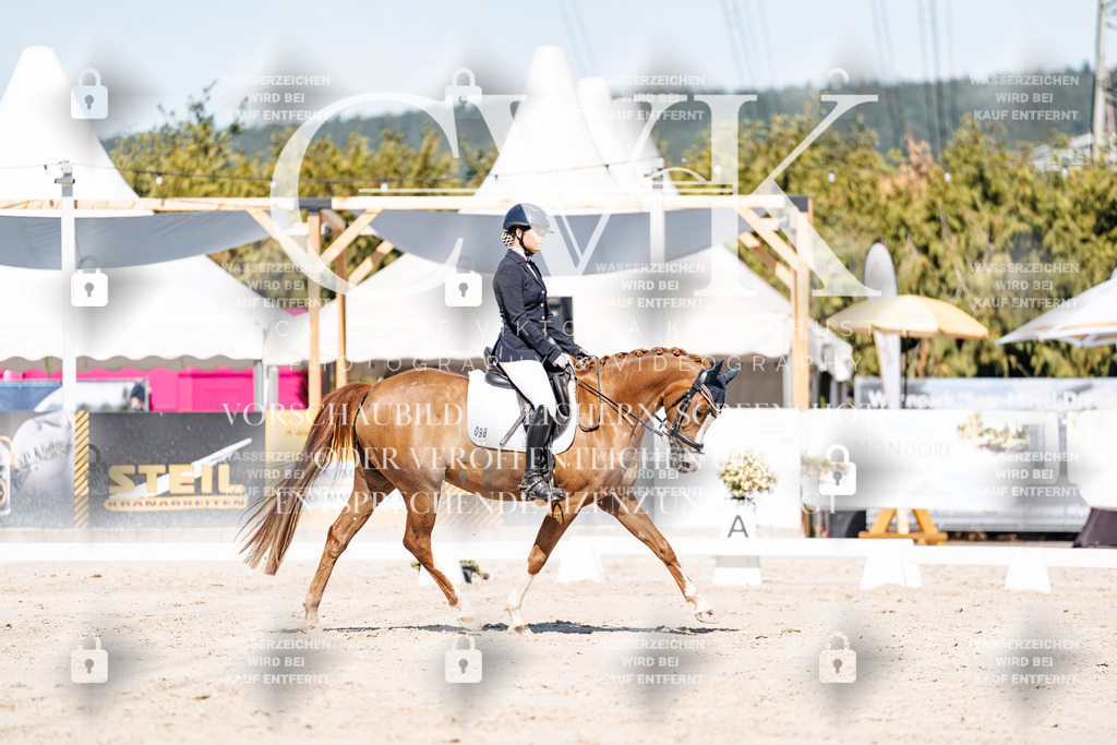 CK909228 | Turnierfotografie Pferdefotografie Trier Rheinland-Pfalz Pferdesport Reitsport Tierfotografie Sportfotografie Pferdevideo Pferdevideografie Equestrianvideography equestrianphotography  - Realisiert mit Pictrs.com